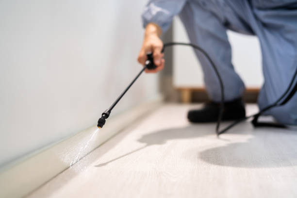 Licensed Rodent Control service in Country Club Hills, MO - Nex Pest Control