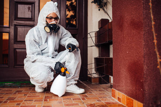 Reliable Rodent Control contractor in Country Club Hills, MO by Nex Pest Control
